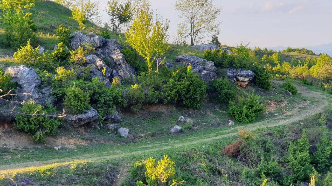Бялата Къща Hotel Chakalarovo Buitenkant foto